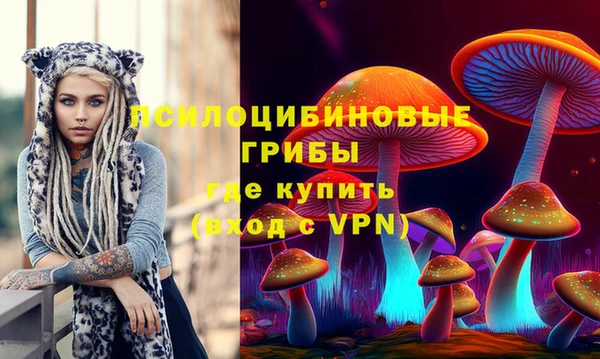 СК Семёнов