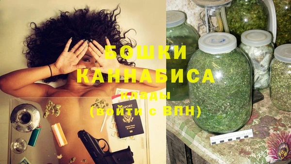 стафф Семикаракорск