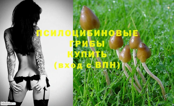 СК Семёнов