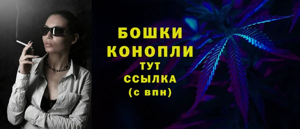 сатива Семилуки