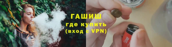 прущие грибы Михайлов