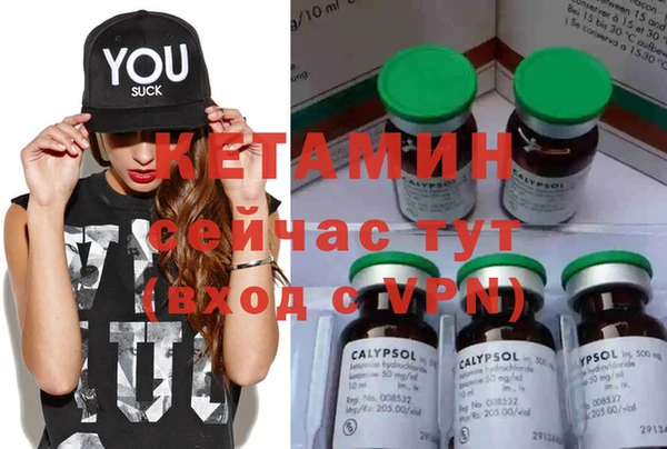 сатива Семилуки