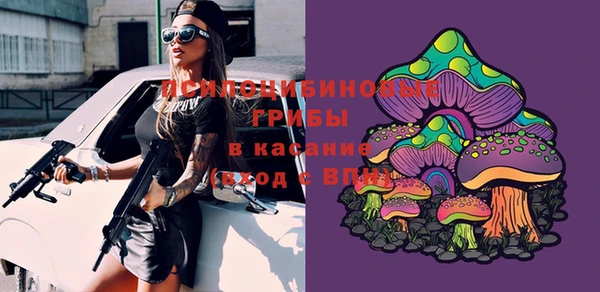 сатива Семилуки