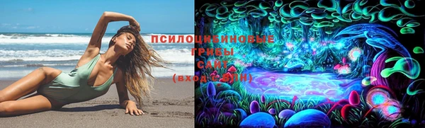 мяу мяу мука Михайловск
