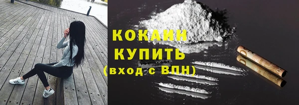 стафф Семикаракорск